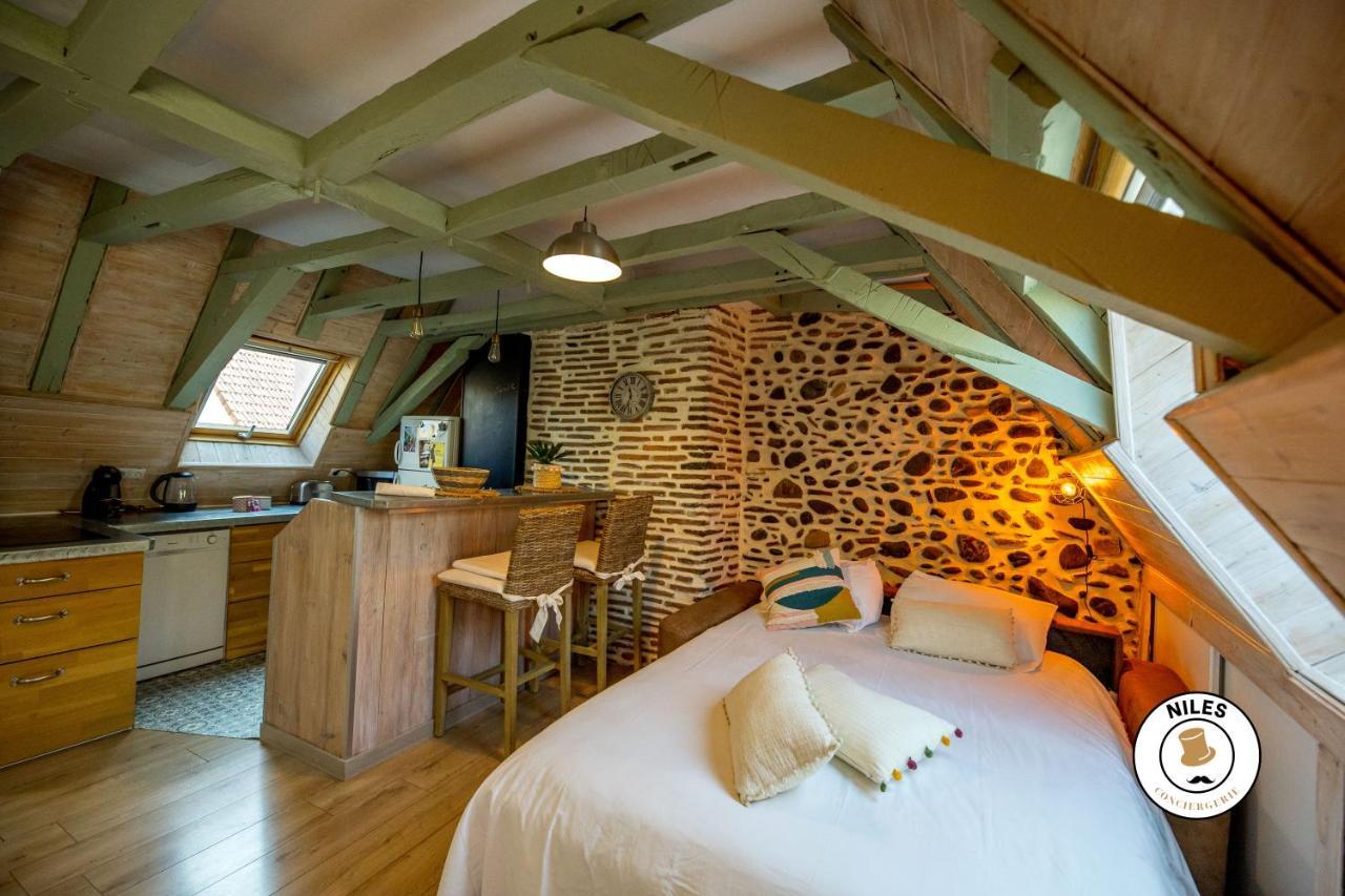Charmant Studio Centre Historique Pau Ngoại thất bức ảnh