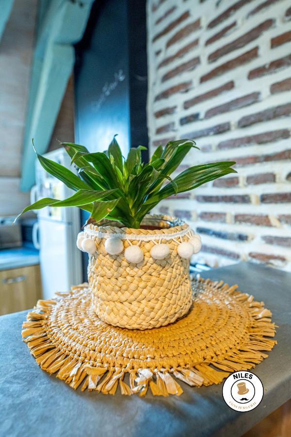 Charmant Studio Centre Historique Pau Ngoại thất bức ảnh